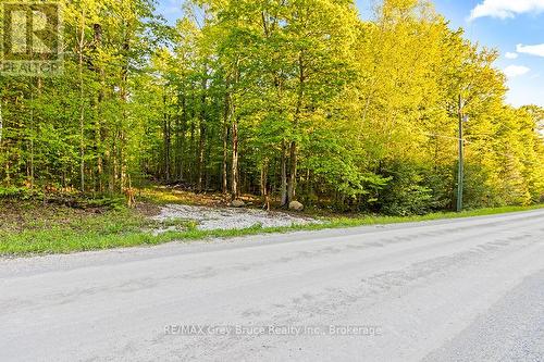 Part Lot 20 Concession Road 14 Concession, Georgian Bluffs, ON 