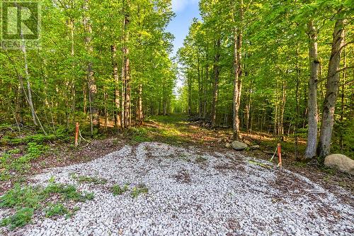 Part Lot 20 Concession Road 14 Concession, Georgian Bluffs, ON 
