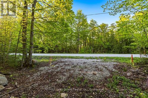 Part Lot 20 Concession Road 14 Concession, Georgian Bluffs, ON 