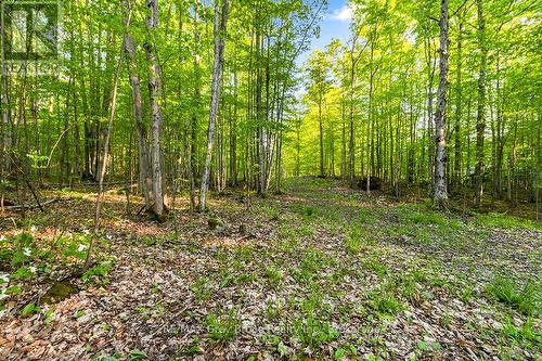 Part Lot 20 Concession Road 14 Concession, Georgian Bluffs, ON 