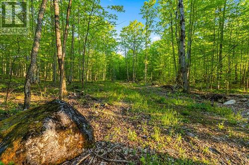 Part Lot 20 Concession Road 14 Concession, Georgian Bluffs, ON 