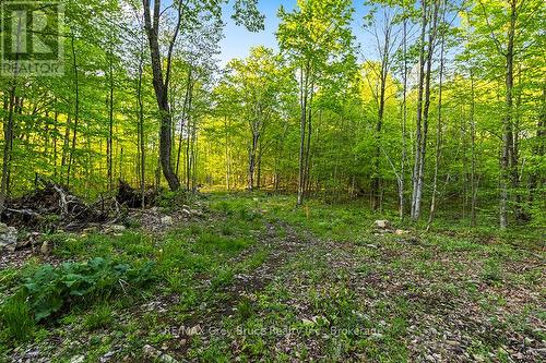 Part Lot 20 Concession Road 14 Concession, Georgian Bluffs, ON 