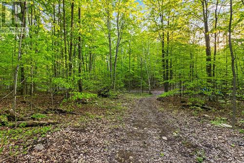 Part Lot 20 Concession Road 14 Concession, Georgian Bluffs, ON 