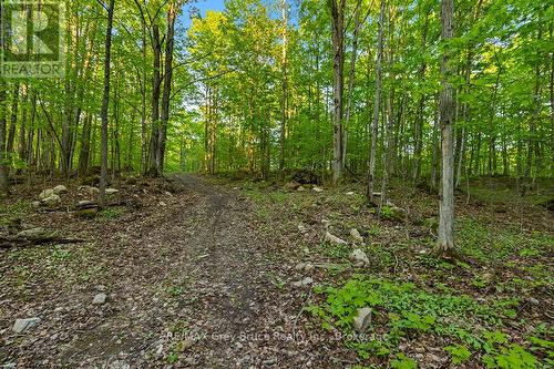 Part Lot 20 Concession Road 14 Concession, Georgian Bluffs, ON 