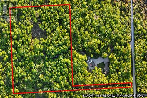 Part Lot 20 Concession Road 14 Concession, Georgian Bluffs, ON 