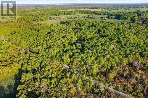 Part Lot 20 Concession Road 14 Concession, Georgian Bluffs, ON 
