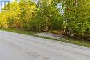 Part Lot 20 Concession Road 14 Concession, Georgian Bluffs, ON 