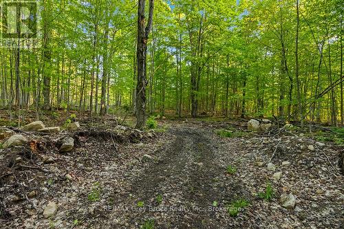 Part Lot 20 Concession Road 14 Concession, Georgian Bluffs, ON 