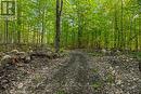 Part Lot 20 Concession Road 14 Concession, Georgian Bluffs, ON 