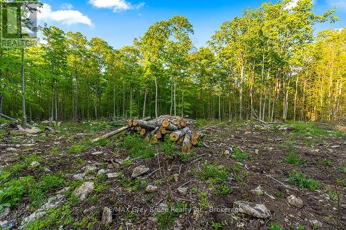 Part Lot 20 Concession Road 14 Concession, Georgian Bluffs, ON 
