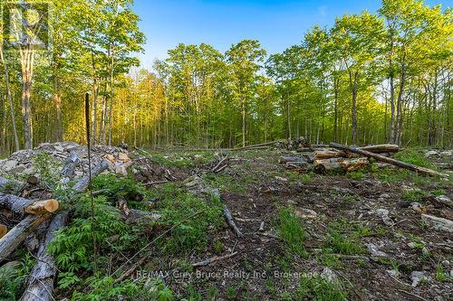 Part Lot 20 Concession Road 14 Concession, Georgian Bluffs, ON 