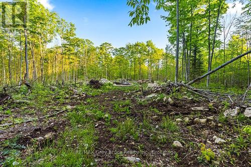 Part Lot 20 Concession Road 14 Concession, Georgian Bluffs, ON 