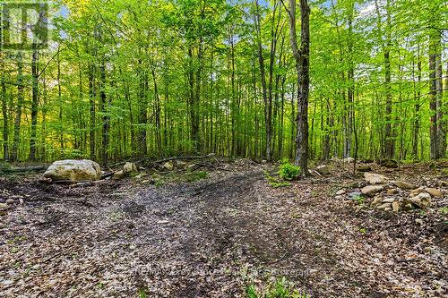 Part Lot 20 Concession Road 14 Concession, Georgian Bluffs, ON 