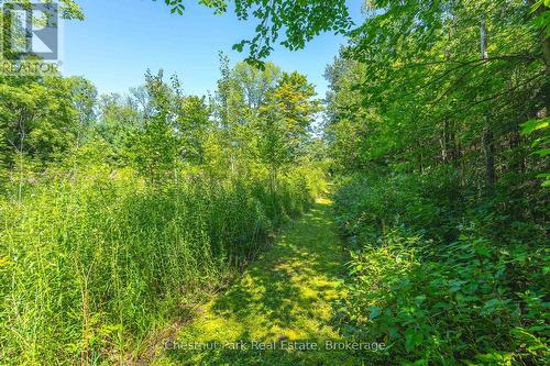 TRAILS THROUGHOUT THE PROPERTY - 600380 Sideroad 50 N, Chatsworth, ON - Outdoor
