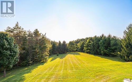 16070 Keele Street, King, ON - Outdoor With View