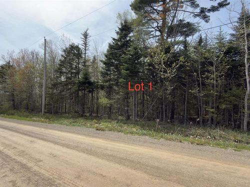 Lot 26-1 Beech Hill Road, Princeport, NS 