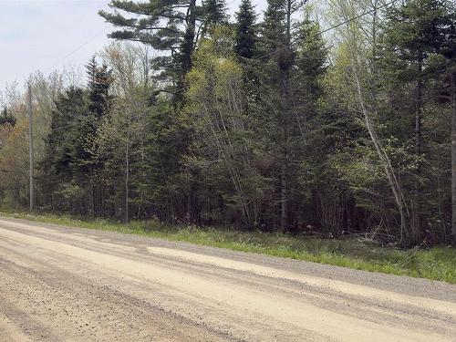 Lot 26-1 Beech Hill Road, Princeport, NS 