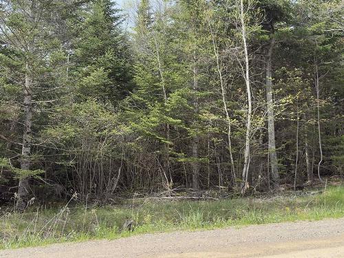 Lot 26-2 Beech Hill Road, Princeport, NS 
