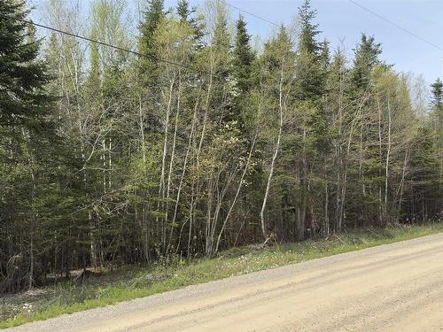 Lot 26-2 Beech Hill Road, Princeport, NS 