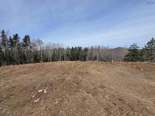86 Carleton Street, Digby, NS 