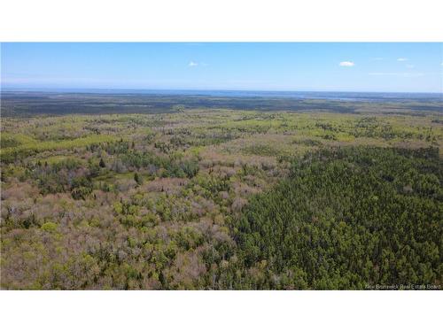 393 Route 320, Anse-Bleue, NB 