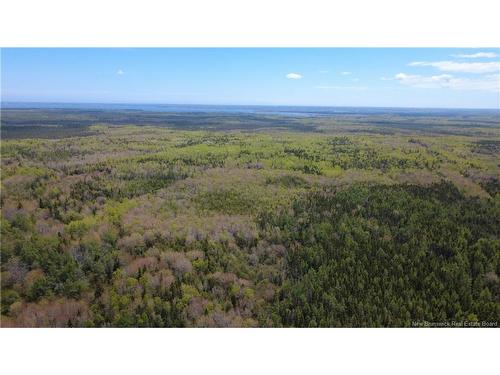 393 Route 320, Anse-Bleue, NB 