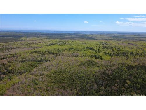 393 Route 320, Anse-Bleue, NB 