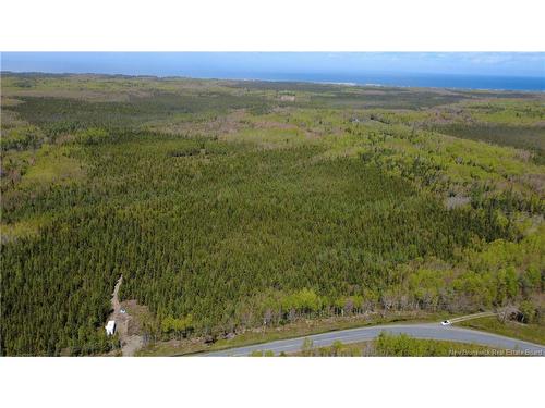 393 Route 320, Anse-Bleue, NB 
