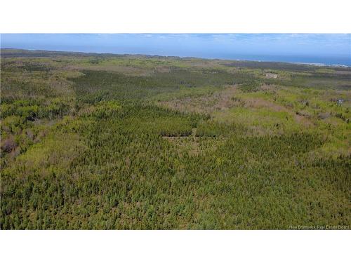 393 Route 320, Anse-Bleue, NB 