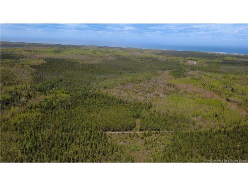 393 Route 320, Anse-Bleue, NB 