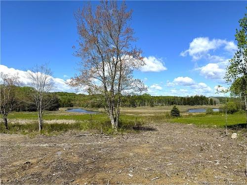 33 & 35 Kerrs Ridge Road, Bocabec, NB 