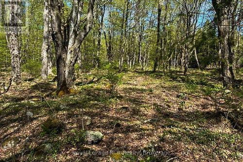 N/A Sutter Road Road W, Northern Bruce Peninsula, ON 