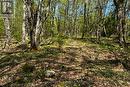 N/A Sutter Road Road W, Northern Bruce Peninsula, ON 