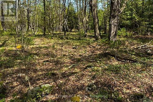 N/A Sutter Road Road W, Northern Bruce Peninsula, ON 