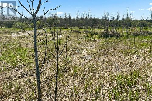 N/A Sutter Road Road W, Northern Bruce Peninsula, ON 