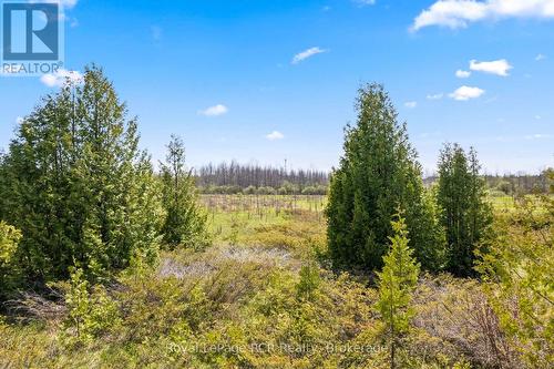 N/A Sutter Road Road W, Northern Bruce Peninsula, ON 