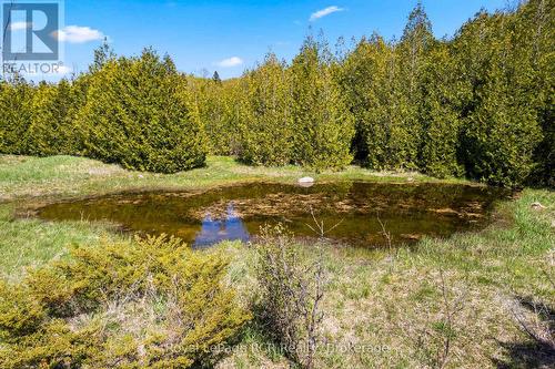 N/A Sutter Road Road W, Northern Bruce Peninsula, ON 