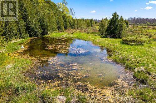 N/A Sutter Road Road W, Northern Bruce Peninsula, ON 
