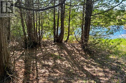 N/A Sutter Road Road W, Northern Bruce Peninsula, ON 