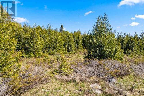 N/A Sutter Road Road W, Northern Bruce Peninsula, ON 