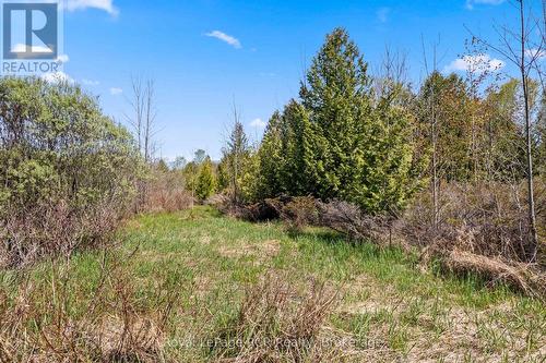 N/A Sutter Road Road W, Northern Bruce Peninsula, ON 