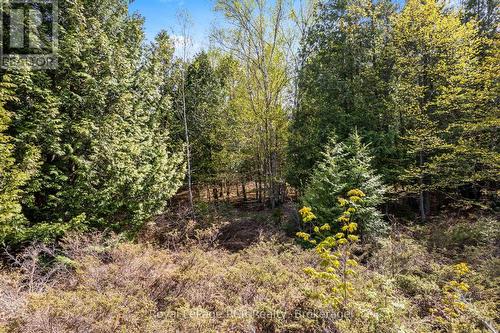 N/A Sutter Road Road W, Northern Bruce Peninsula, ON 
