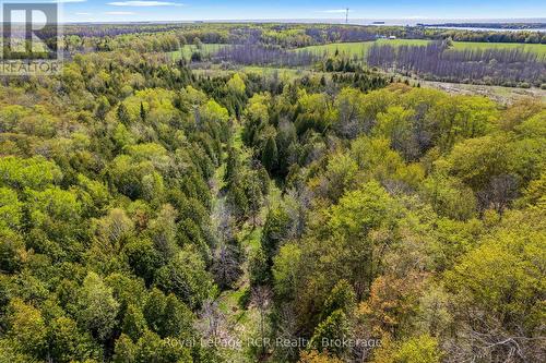 N/A Sutter Road Road W, Northern Bruce Peninsula, ON 