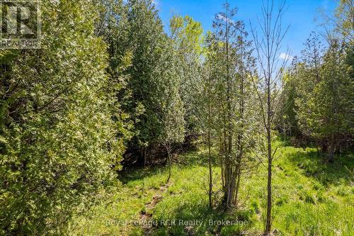 N/A Sutter Road Road W, Northern Bruce Peninsula, ON 
