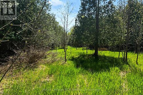 N/A Sutter Road Road W, Northern Bruce Peninsula, ON 