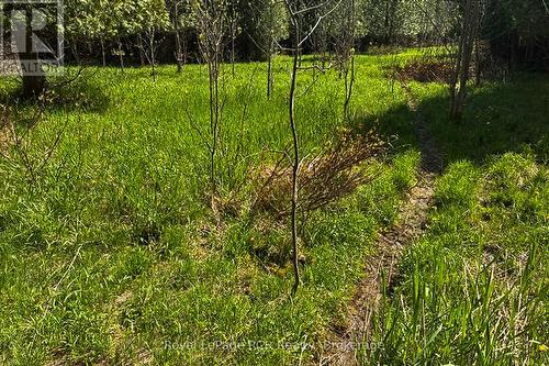 N/A Sutter Road Road W, Northern Bruce Peninsula, ON 