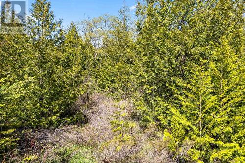 N/A Sutter Road Road W, Northern Bruce Peninsula, ON 