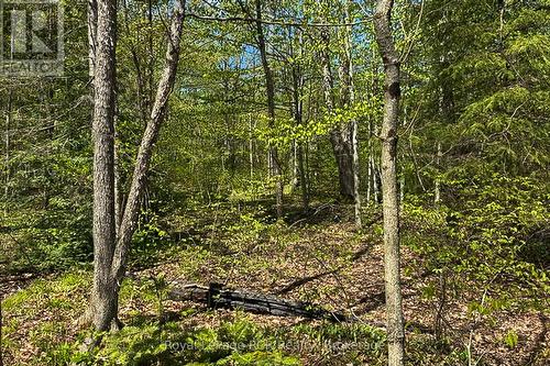 N/A Sutter Road Road W, Northern Bruce Peninsula, ON 