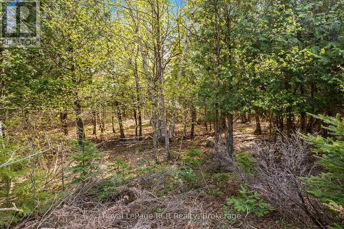 N/A Sutter Road Road W, Northern Bruce Peninsula, ON 