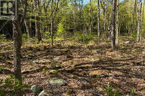 N/A Sutter Road Road W, Northern Bruce Peninsula, ON 